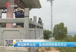 开云体育下载-歗LrNC蕍?{隼?楆|!?Kv!的简单介绍